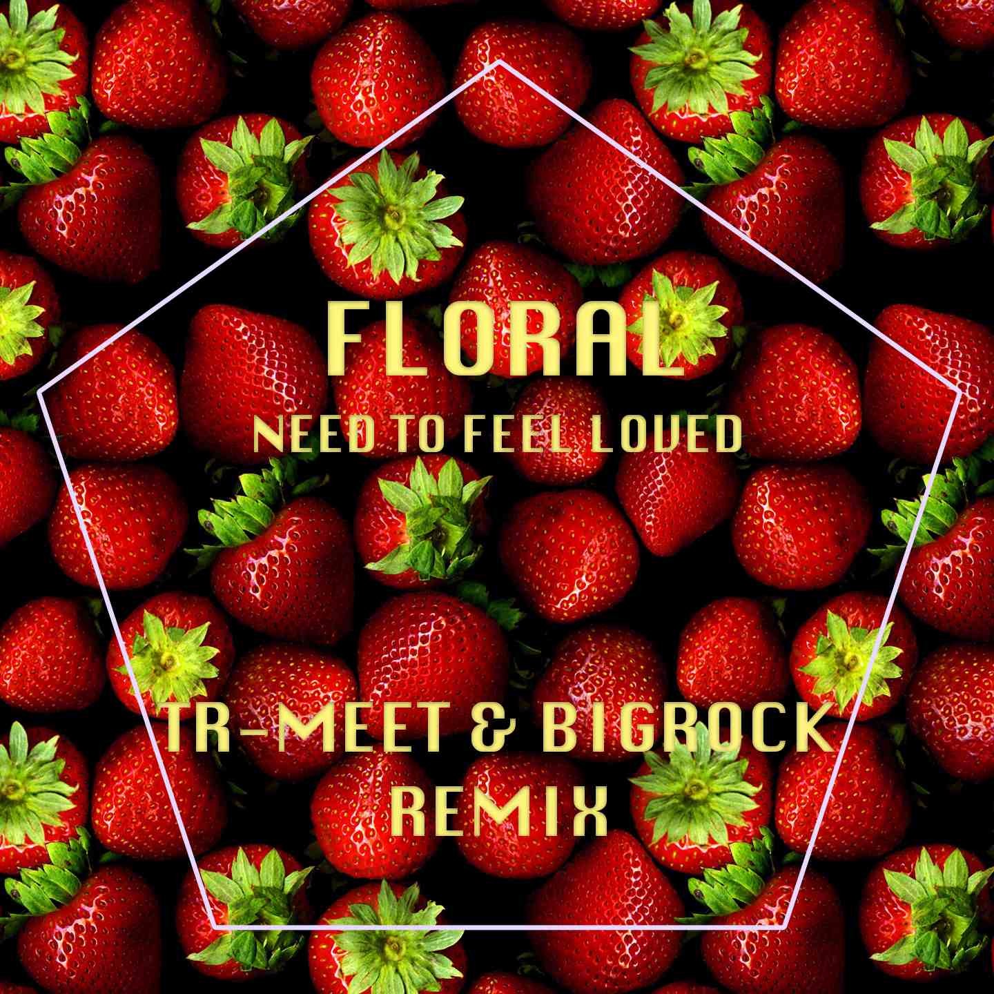 Floral - Need To Feel Loved (Tr-Meet BigRock Remix)